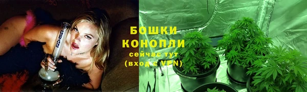 мдма Новодвинск