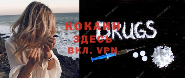 крисы Калининец