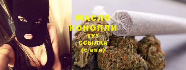 мет Новозыбков