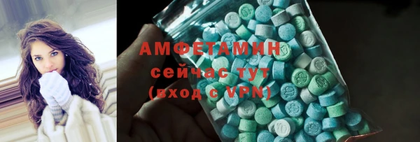 мет Новозыбков