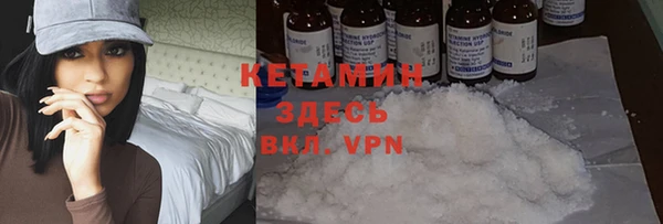 мет Новозыбков