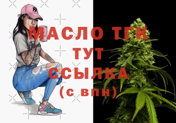 мет Новозыбков