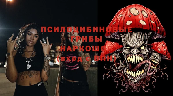 мет Новозыбков