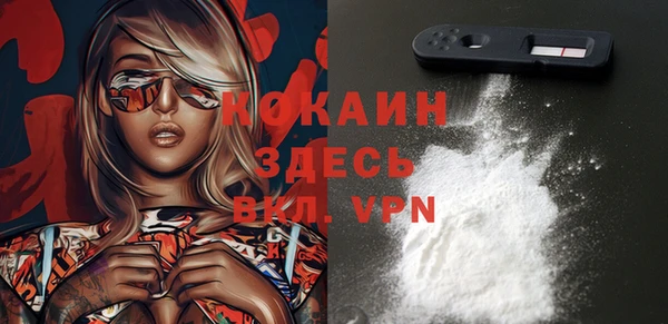 мдма Новодвинск