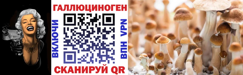 Псилоцибиновые грибы мухоморы  Тавда 